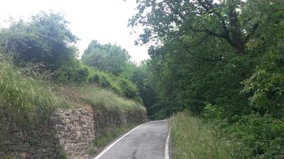 Clicca per vedere l'immagine alla massima grandezza