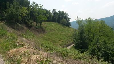 Clicca per vedere l'immagine alla massima grandezza