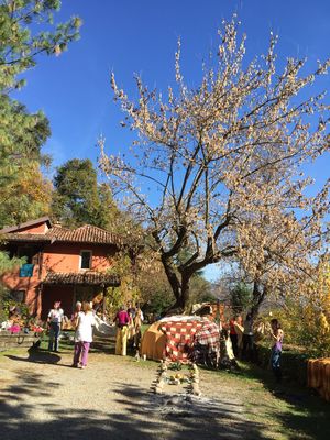 Clicca per vedere l'immagine alla massima grandezza