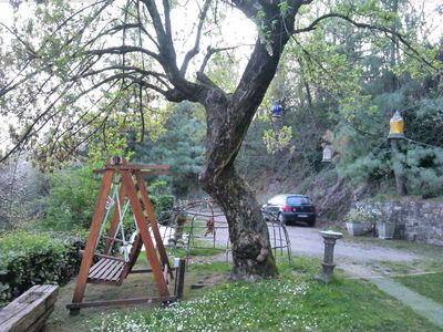 Clicca per vedere l'immagine alla massima grandezza